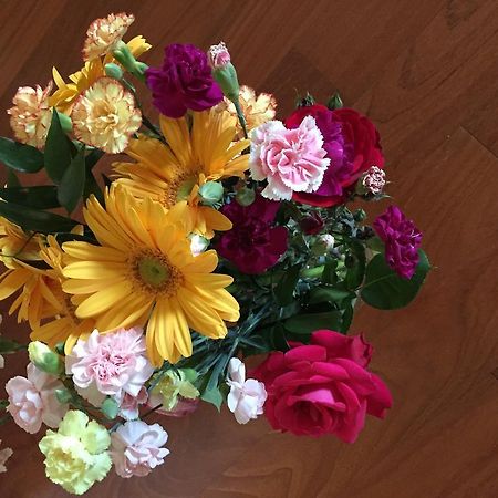 Guesthouse Flora 로디 외부 사진