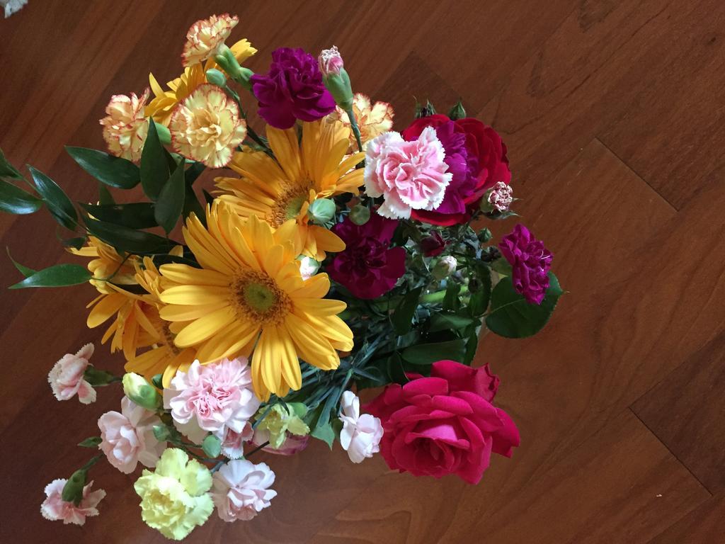 Guesthouse Flora 로디 외부 사진